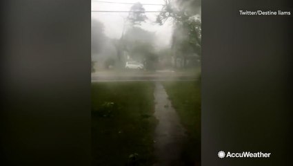 Trees blown sideways amidst tornado warnings and touchdowns