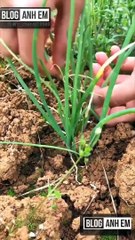 Viral Videos million view and muddy moments #2019  you should see p91