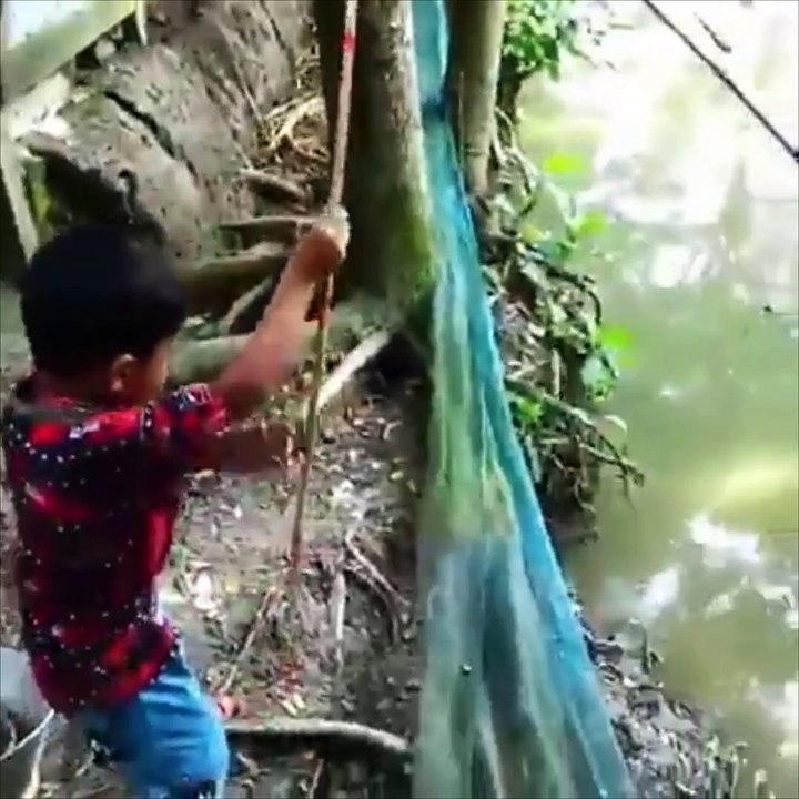 Little Boy Fishing A Big Fish