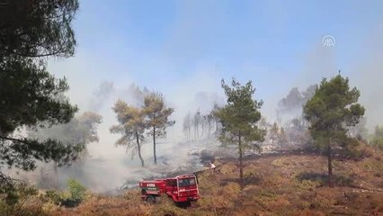 Orman yangını (2) - AYDIN