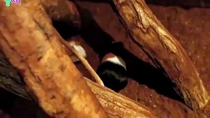 구미출장안마 -후불100%ョ OiOc2659c1768｛카톡KP93｝ 구미전지역출장안마 구미오피걸 구미출장마사지 구미안마 구미출장마사지 구미콜걸샵★●◎