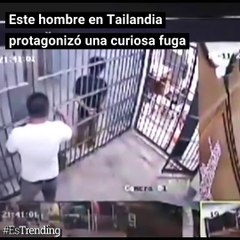 ¿Astuta fuga? Un preso escapó después de fingir que una serpiente entró a su celda