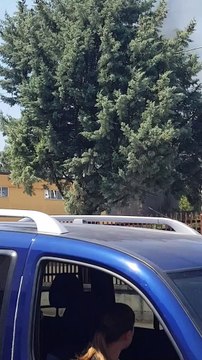 Aversa - Incendio di sterpaglie in via Madonna dell’Olio (22.07.19)