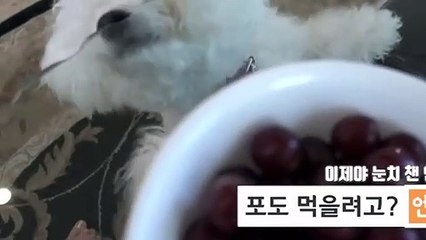 용산출장타이OiOs2671s8135｛카톡ZHF526｝ぱ용산출장안@마ぱ용산출장샵ぱ용산출장맛사지 ぱ용산출장걸썰 용산출장걸가격 용산출장러시아 용산외국인후불출장업소 용산24시출장마사지샵'예약∑⇒∃