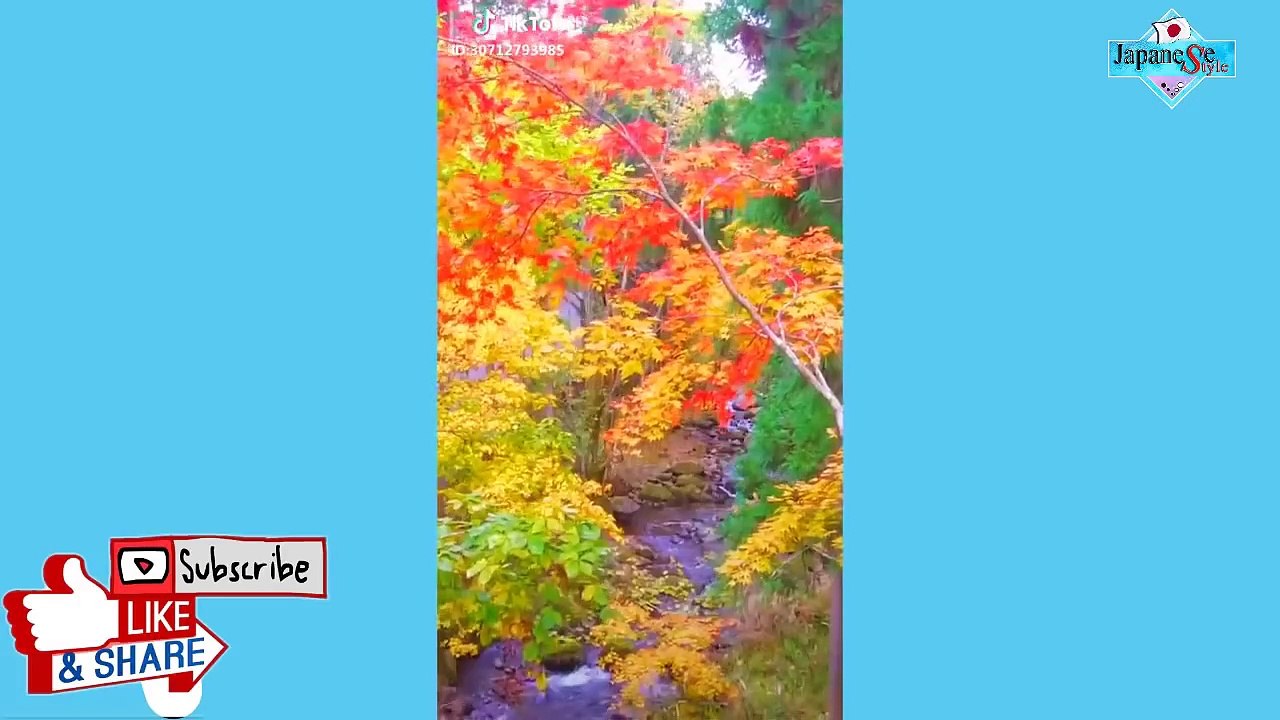 [ Japan Tik Tok ] I love Japanese Style #81