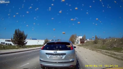 Enervé ce conducteur descend.. et se prend du spray au visage !