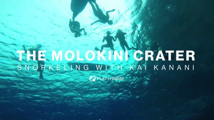 Take a Dive Into Maui's Most Colorful Marine Life