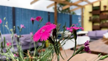 GOODLINES: 23rd July 2019