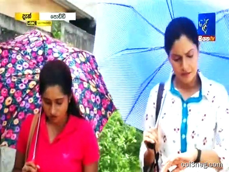 Poddi 22/07/2019 - 4