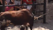 La Delegación de Fiestas del Ayuntamiento de Grazalema celebra el 'Lunes del Toro de Cuerda'