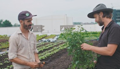 Les Racines du tout - - Épisode 3