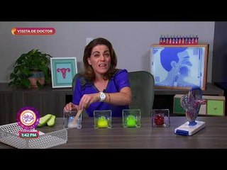 Visita de doctor: ¿Qué es el flujo vaginal? | Sale el Sol