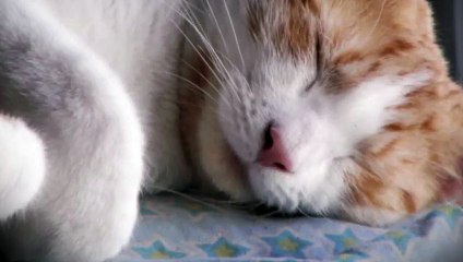 북구출장안마 -후불100%ョO7Oy7575y0069｛카톡RD654｝ 북구전지역출장안마 북구오피걸 북구출장마사지 북구안마 북구출장마사지 북구콜걸샵⊙♤℉