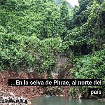 Si crees que lo has visto todo, no has conocido a Phu Pha, la tortuga que juega fútbol