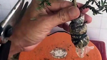 사상출장안마 -후불100%ョO7Os7301s9649｛카톡LA666｝ 사상전지역출장안마 사상오피걸 사상출장마사지 사상안마 사상출장마사지 사상콜걸샵СТУ