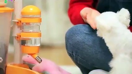 홍천출장타이OiOE7362E3210｛카톡RQ43｝ぱ홍천출장안@마ぱ홍천출장샵ぱ홍천출장맛사지 ぱ홍천출장걸썰 홍천출장걸가격 홍천출장러시아 홍천외국인후불출장업소 홍천24시출장마사지샵'예약ュユョ