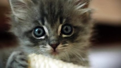 옥천출장타이OiOs2671s8135｛카톡AQ52｝ぱ옥천출장안@마ぱ옥천출장샵ぱ옥천출장맛사지 ぱ옥천출장걸썰 옥천출장걸가격 옥천출장러시아 옥천외국인후불출장업소 옥천24시출장마사지샵'예약ルレロ