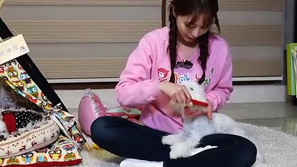 화천출장안마 -후불100%ョOiOs2671s8135｛카톡LA369｝ 화천전지역출장안마 화천오피걸 화천출장마사지 화천안마 화천출장마사지 화천콜걸샵эюя