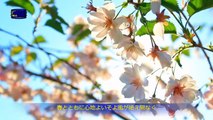 【東方閃電】日本語賛美歌「神の国が地上に現れた」