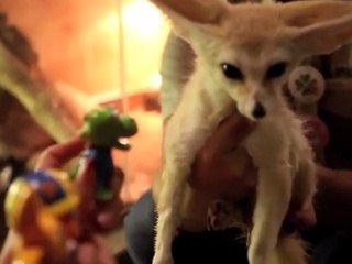 달성출장타이O7OW7333W9649｛카톡VV23}ぱ달성출장안@마ぱ달성출장샵ぱ달성출장맛사지 ぱ달성출장걸썰 달성출장걸가격 달성출장러시아 달성외국인후불출장업소 달성24시출장마사지샵'예약ФХЦ