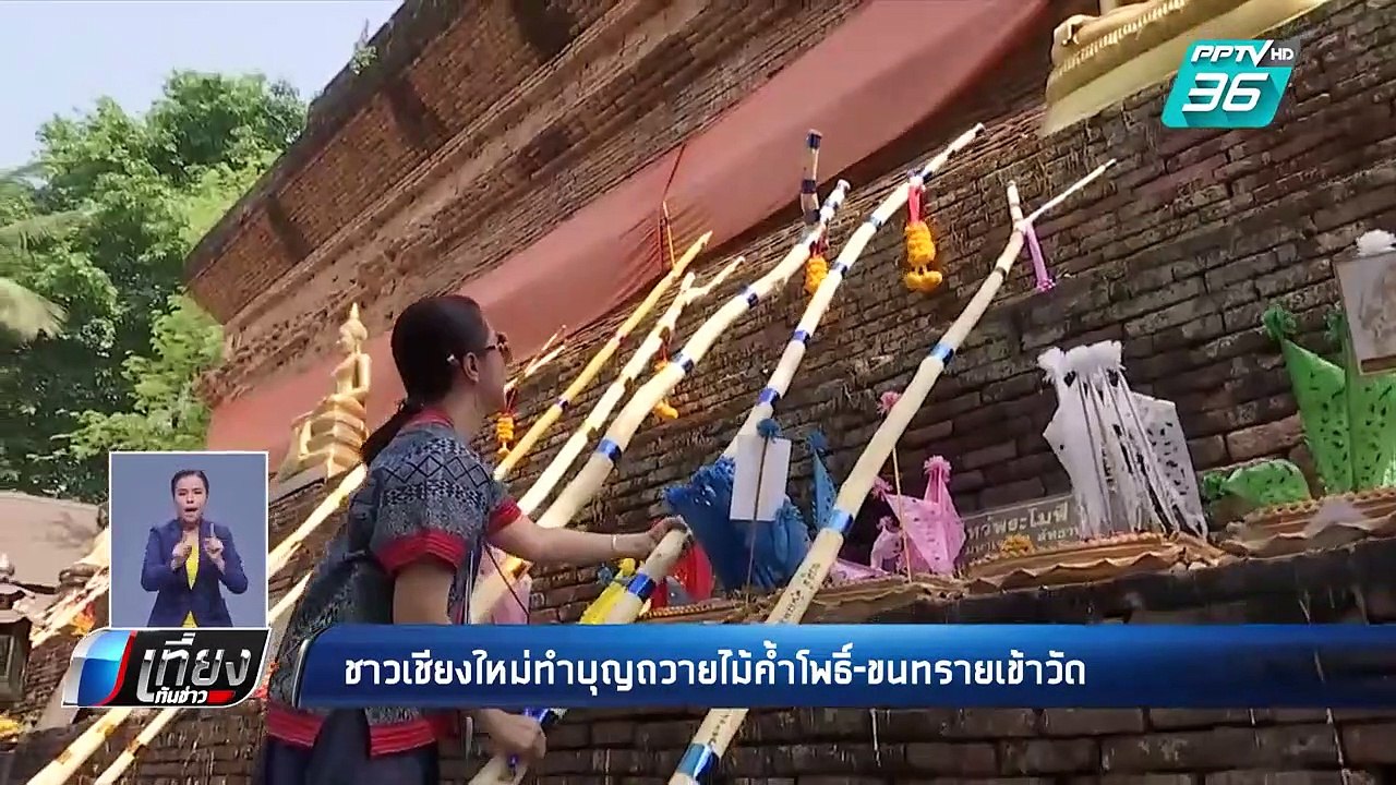 สงกรานต์ 62 | ชาวเชียงใหม่ทำบุญถวายไม้ค้ำโพธิ์...