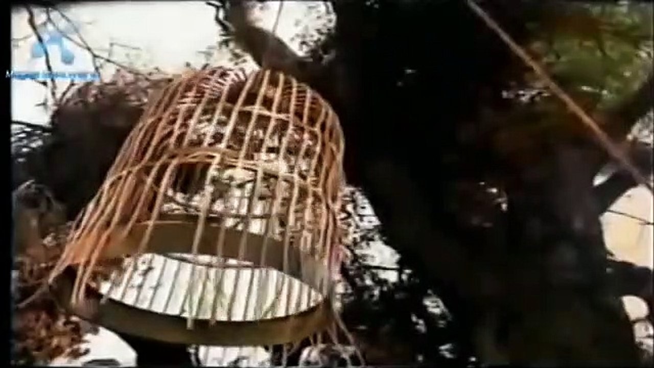 The New Adventures of Winnie the Pooh Promo- Trap