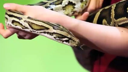 상무출장안마 -후불100%ョO7OW7301W9649｛카톡LA25｝ 상무전지역출장안마 상무오피걸 상무출장마사지 상무안마 상무출장마사지 상무콜걸샵∀∑