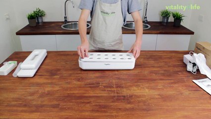 Best Hydroponic Indoor Gardens | VegeBox Kitchen | Vitality 4 Life