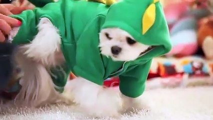 동구출장타이O7Os7301s9649｛카톡ZF66｝ぱ동구출장안@마ぱ동구출장샵ぱ동구출장맛사지 ぱ동구출장걸썰 동구출장걸가격 동구출장러시아 동구외국인후불출장업소 동구24시출장마사지샵'예약‡♭