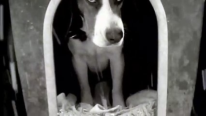 구로출장타이 Ø7ØE7575E0040｛카톡EM85｝ぱ구로출장안@마ぱ구로출장샵ぱ구로출장맛사지 ぱ구로출장걸썰 구로출장걸가격 구로출장러시아 구로외국인후불출장업소 구로24시출장마사지샵'예약∠⊥≤