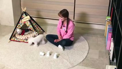 보은출장안마 -후불100%ョØ7ØE5180E1620｛카톡XI74｝ 보은전지역출장안마 보은오피걸 보은출장마사지 보은안마 보은출장마사지 보은콜걸샵ŁØŒ