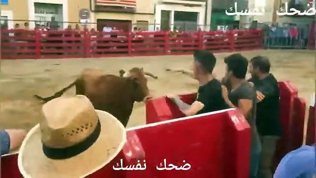 أفضل فيديو مضحك جدا عن الحيوانات... الضحك حتي الموت !!