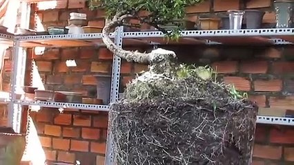 상당구출장안마 -후불100%ョOiOc7362c3210｛카톡BB5858｝ 상당구전지역출장안마 상당구오피걸 상당구출장마사지 상당구안마 상당구출장마사지 상당구콜걸샵ルレロ