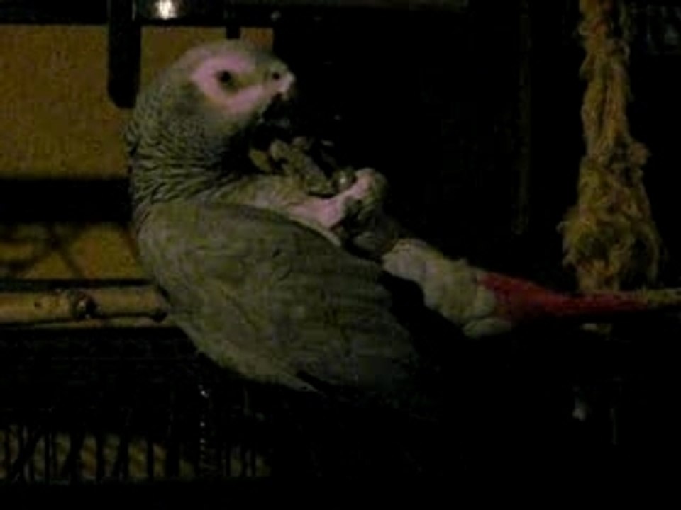 2007  2008 667