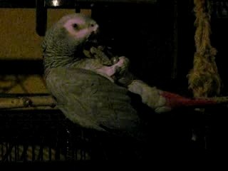 2007 Historical Data from 2007-2008 📊