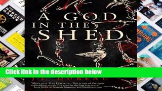Livre audio A God in the Shed Pour Kindle