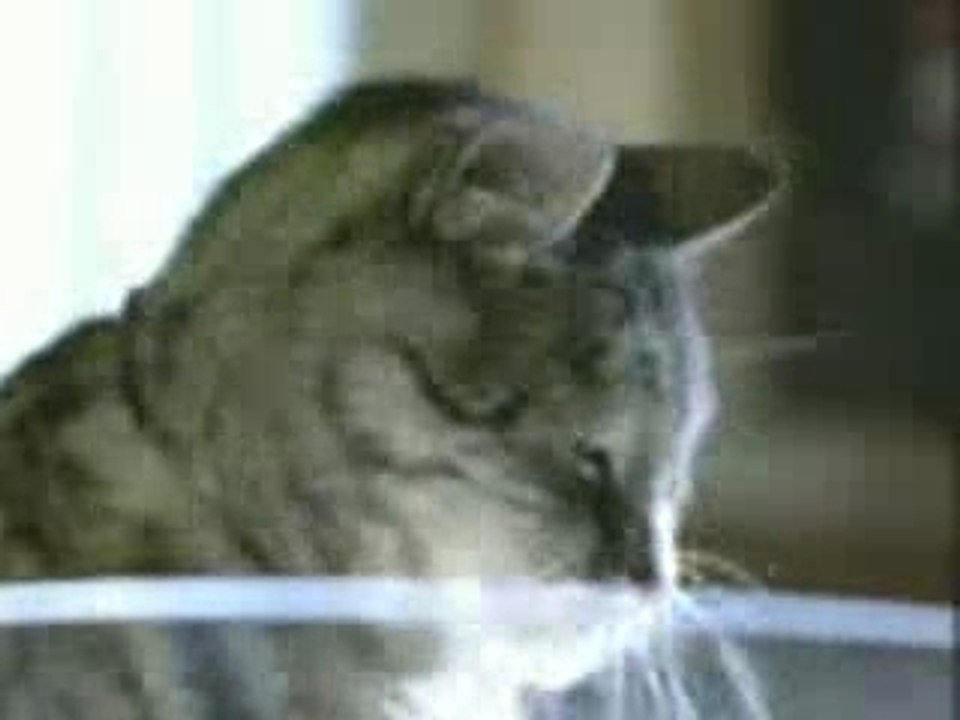 Nên học ngoại ngữ