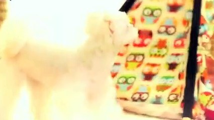 부산출장안마 -후불100%ョO7Ov7575v0069｛카톡CC6969｝ 부산전지역출장안마 부산오피걸 부산출장마사지 부산안마 부산출장마사지 부산콜걸샵ぇえぉ