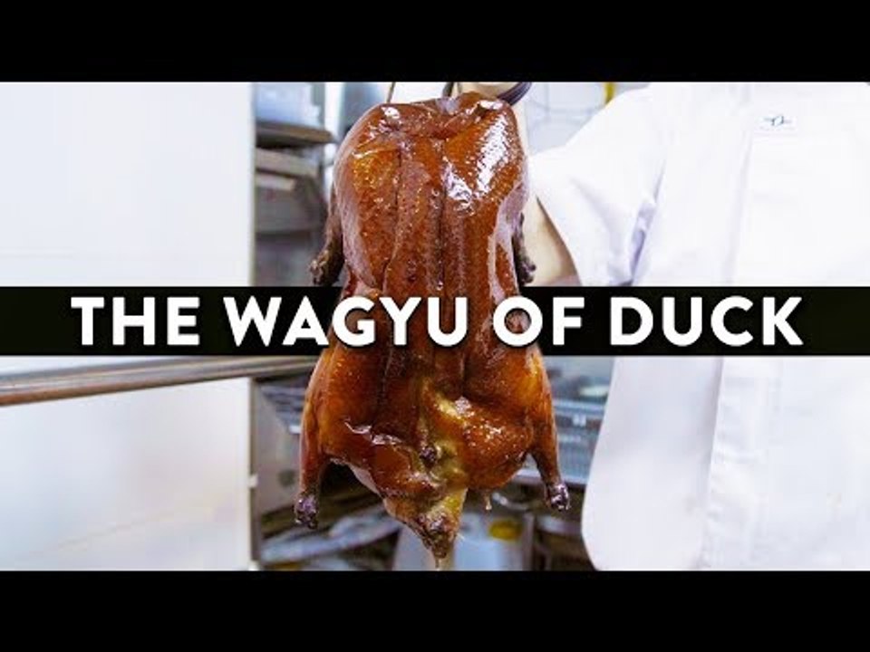 Incredible Duck Dishes Made With The Best Duck in the World: Duckland