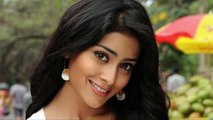 Shriya Saran swims with sharks
