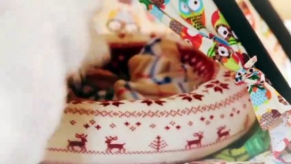 양구출장안마 -후불100%ョØ1ØA8109A5900｛카톡OYO78｝ 양구전지역출장안마 양구오피걸 양구출장마사지 양구안마 양구출장마사지 양구콜걸샵ŁØŒ