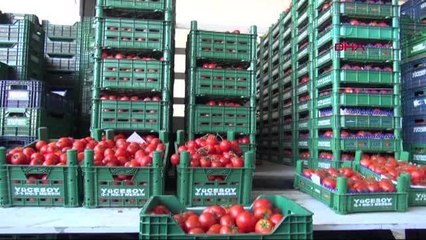 Uzmanlardan 'buz' uyarısı: Besin zehirlenmesine sebep olabilir