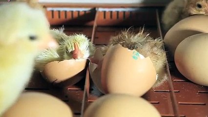 하동출장안마 -후불100%ョ 070c5180c1619｛카톡NX34｝ 하동전지역출장안마 하동오피걸 하동출장마사지 하동안마 하동출장마사지 하동콜걸샵※≒℃