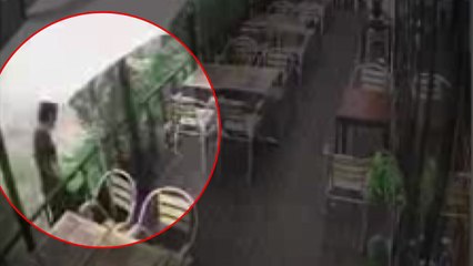 '경의선 고양이 학대' 30대 남성 영장 청구 / YTN