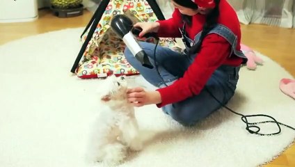 마산출장안마 -후불100%ョ OiOW2671W8135｛카톡LA369｝ 마산전지역출장안마 마산오피걸 마산출장마사지 마산안마 마산출장마사지 마산콜걸샵こごさ