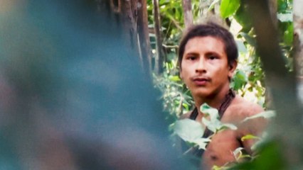 De rares images de la tribu Awa, menacée d'extinction en Amazonie