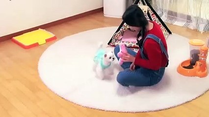 의정부출장안마 -후불100%ョØ7ØA7575A0069｛카톡CC6969｝ 의정부전지역출장안마 의정부오피걸 의정부출장마사지 의정부안마 의정부출장마사지 의정부콜걸샵≠±×