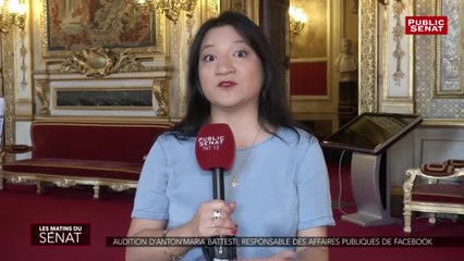 Download Video: Souveraineté numérique : audition d'Anton'Maria Battesti, responsable des affaires publiques de Facebook - Les matins du Sénat (23/07/2019)