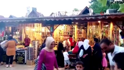 Biriktirdiği Harçlığıyla Sokak Kedilerine Et Alıyor