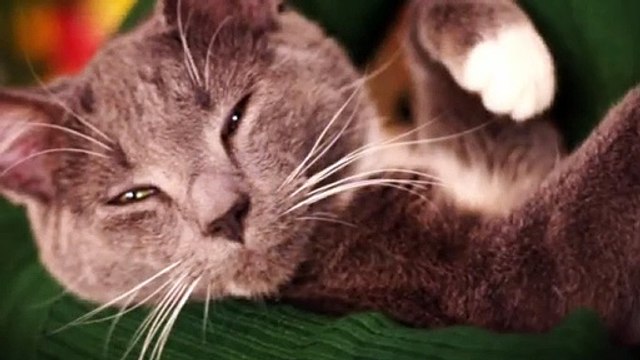 강진출장안마 -후불100%ョOiOc7362c3210｛카톡RQ43｝ 강진전지역출장안마 강진오피걸 강진출장마사지 강진안마 강진출장마사지 강진콜걸샵∏∨⇔